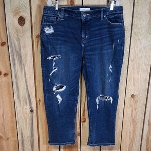 Lane Bryant Mid-rise Boyfriend Capri Jeans Size 14R Casual Outdoor Hiking